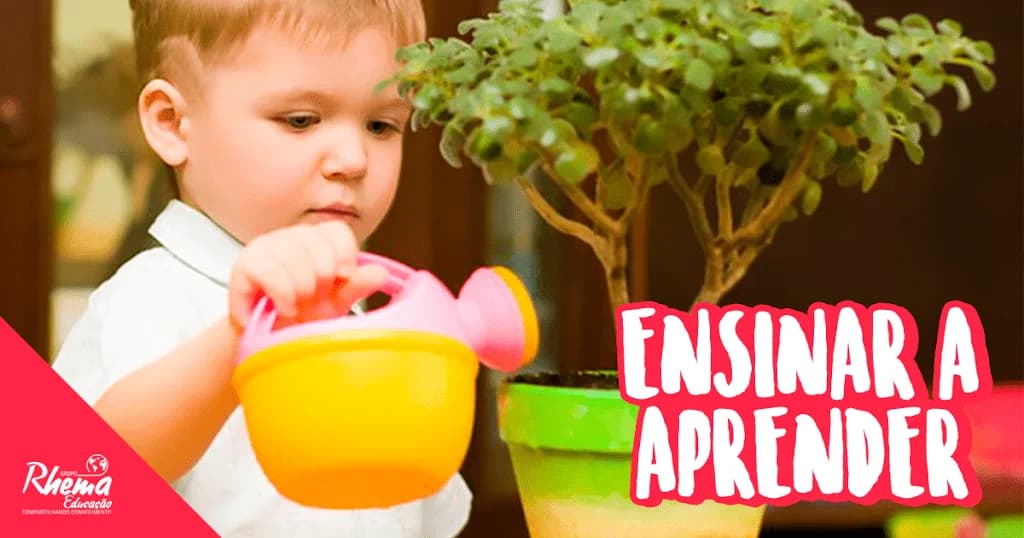 Ensinar a aprender: Uma plantinha a ser regada, chamada cérebro infantil!