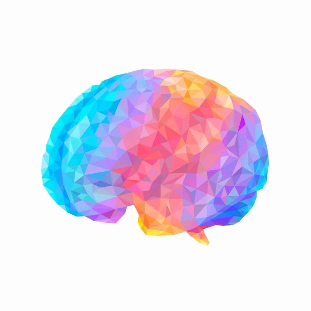 Neurociência: A linguagem e o cérebro