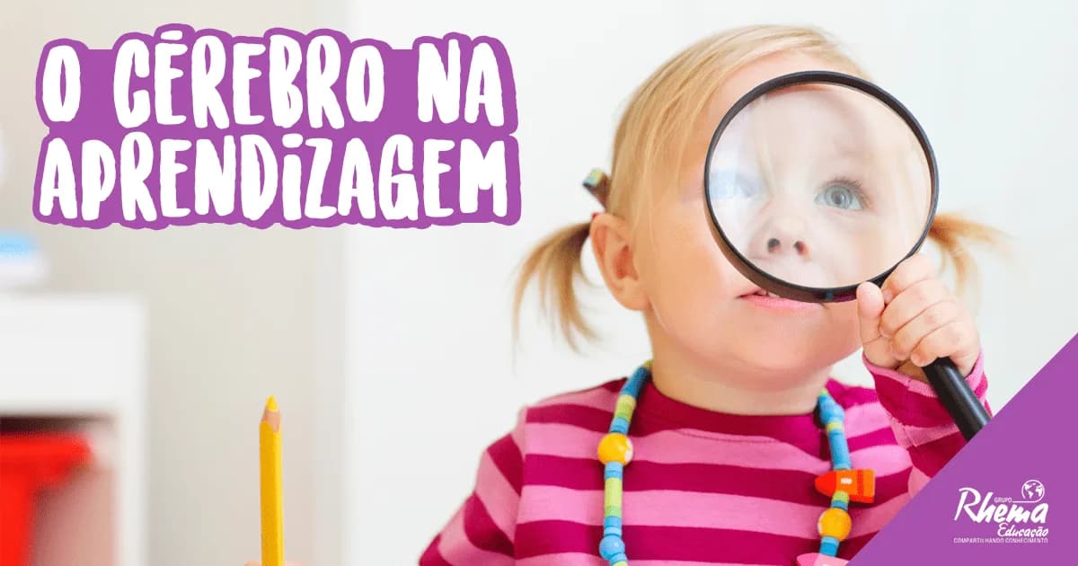 O cérebro na aprendizagem infantil!