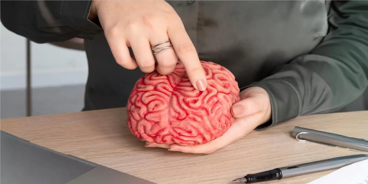 Neurociência: Livros Indispensáveis para Educadores