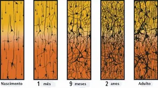 Atividades Sensoriais: Diversão para o corpo, alimento para a mente!