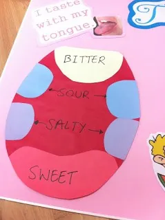 Você sabe explorar os Cinco Sentidos dos seus alunos?